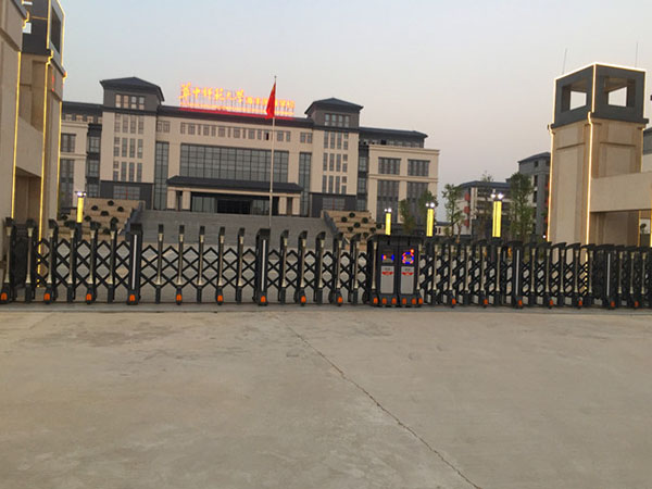 華中師范大學海豐附屬學校-飛豹209B